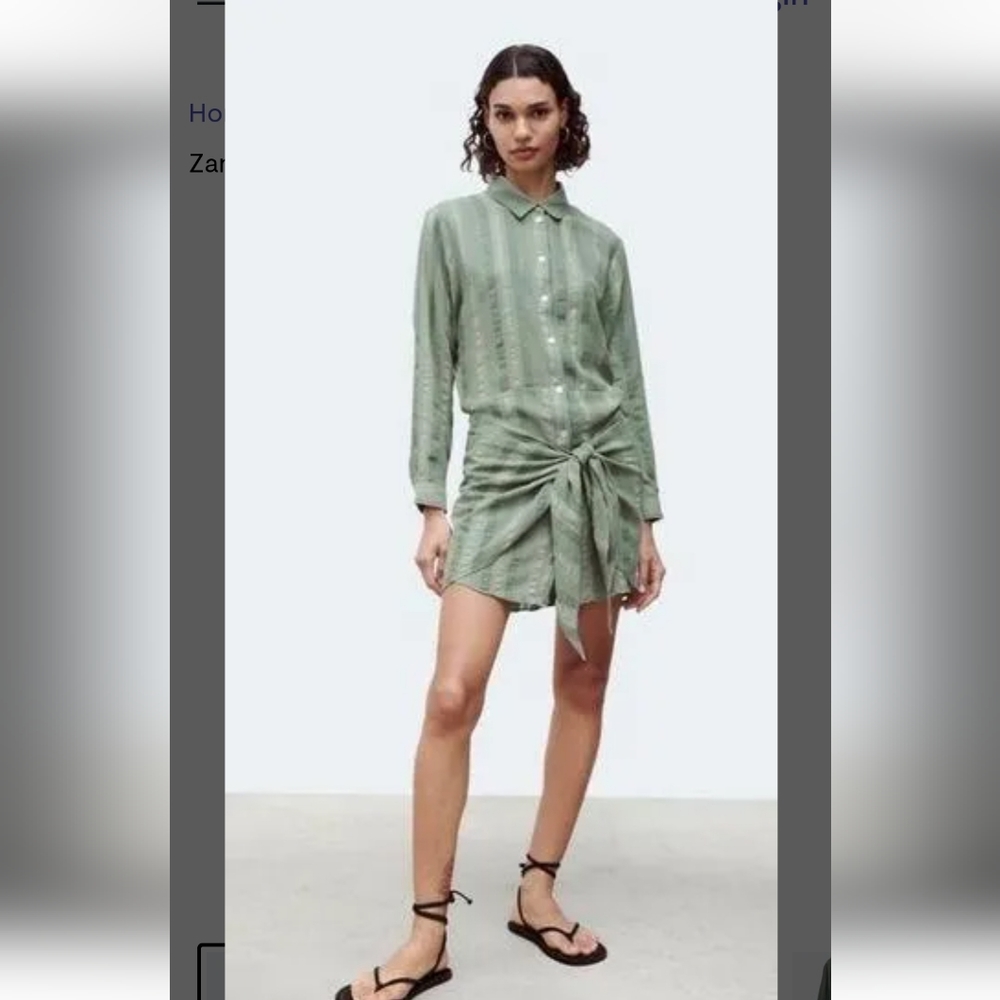 ZARA button down shirt dress